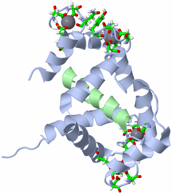 Image NMR Structure - model 1, sites