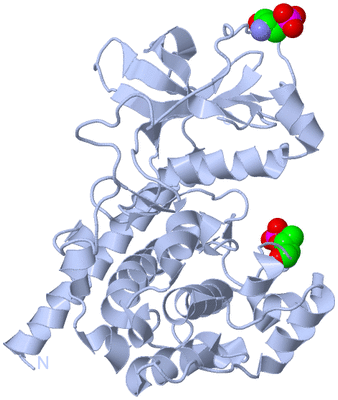 Image Biological Unit 1