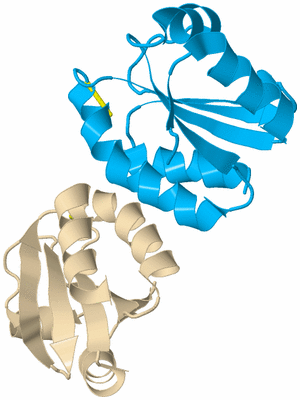 Image Biological Unit 5