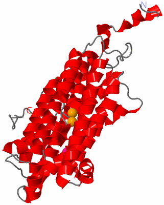 Image Asymmetric Unit