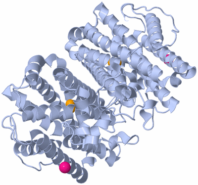 Image Biological Unit 1