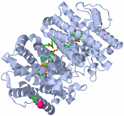 Image Biol. Unit 1 - sites