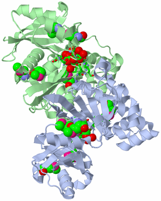 Image Asym./Biol. Unit - sites