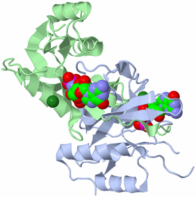 Image Asym./Biol. Unit