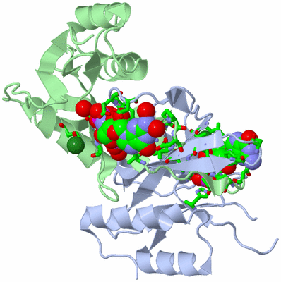 Image Asym./Biol. Unit - sites