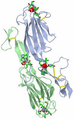 Image Biol. Unit 1 - sites