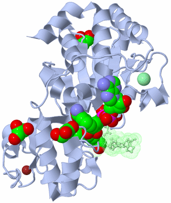 Image Biological Unit 1