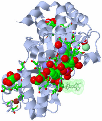 Image Biol. Unit 1 - sites