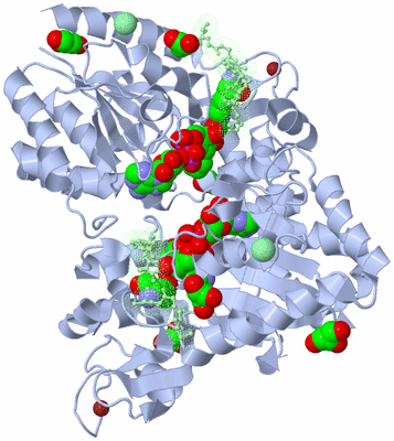 Image Biological Unit 2