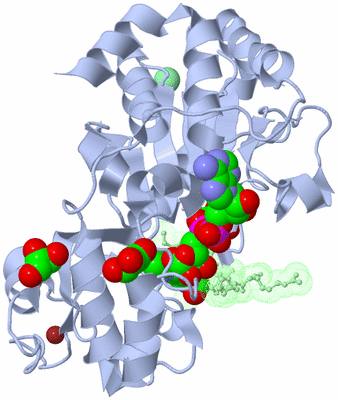 Image Biological Unit 1