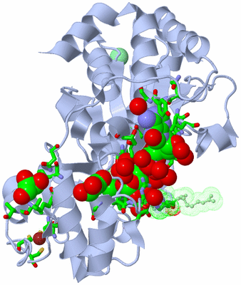 Image Biol. Unit 1 - sites