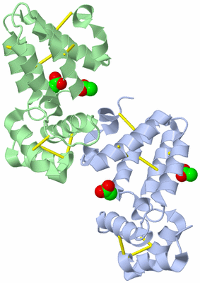 Image Asymmetric Unit