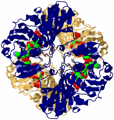 Image Biological Unit 1