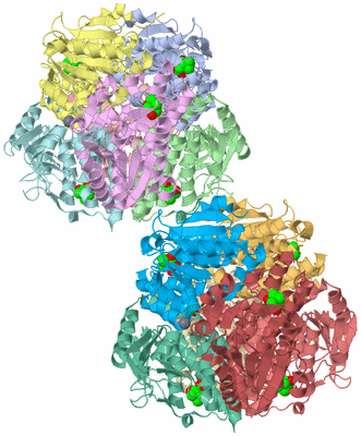 Image Asymmetric Unit