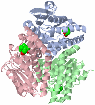 Image Biological Unit 1
