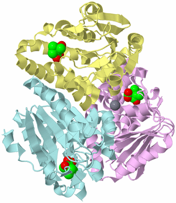 Image Biological Unit 2
