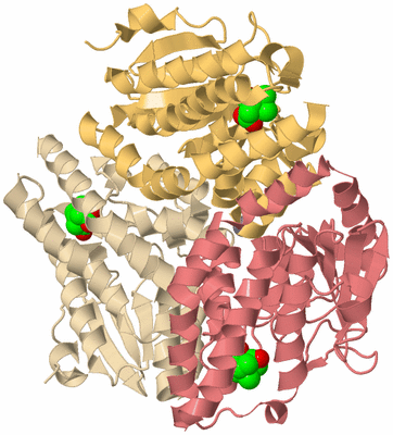 Image Biological Unit 3