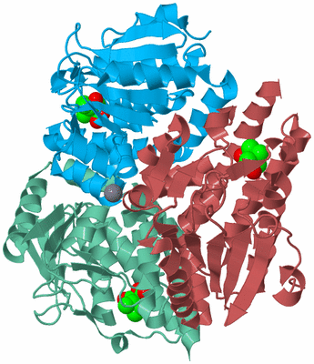 Image Biological Unit 4