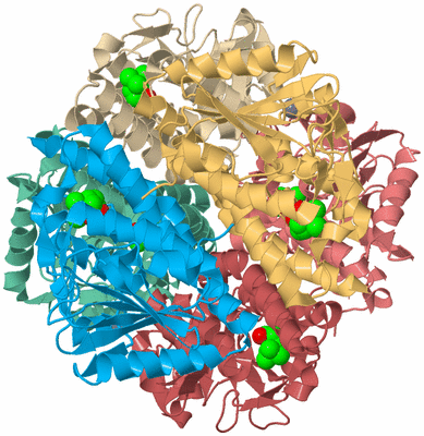 Image Biological Unit 5