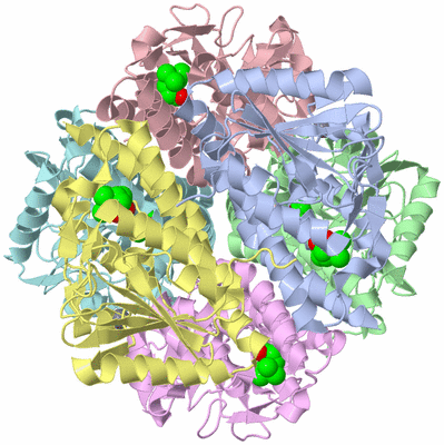 Image Biological Unit 6