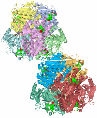 Image Asym. Unit - sites