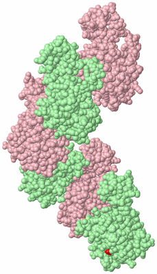 Image Biological Unit 2