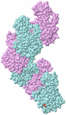 Image Biological Unit 3