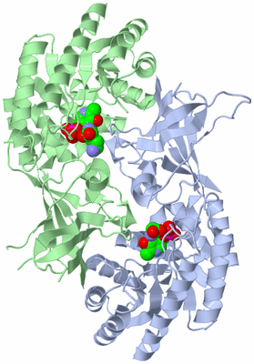 Image Biological Unit 2