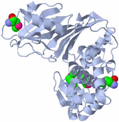 Image Biological Unit 1