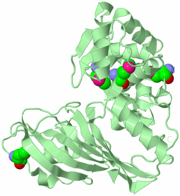 Image Biological Unit 2