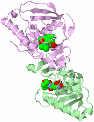 Image Biological Unit 2