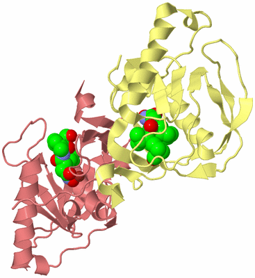 Image Biological Unit 3