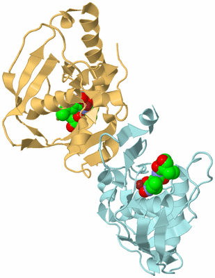 Image Biological Unit 4