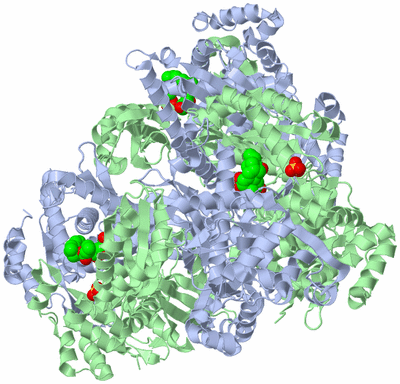 Image Biological Unit 2