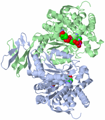 Image Asym./Biol. Unit