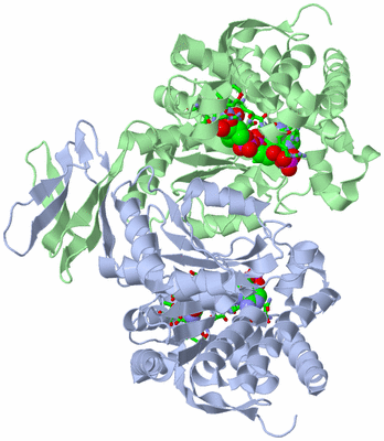 Image Asym./Biol. Unit - sites