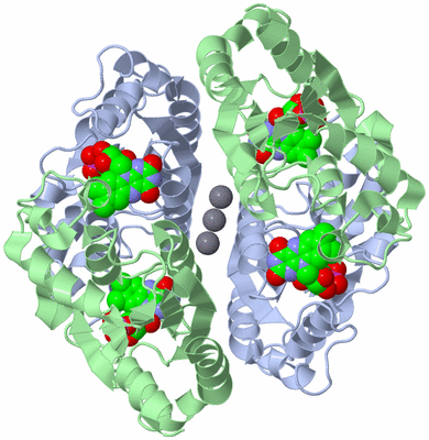 Image Biological Unit 2