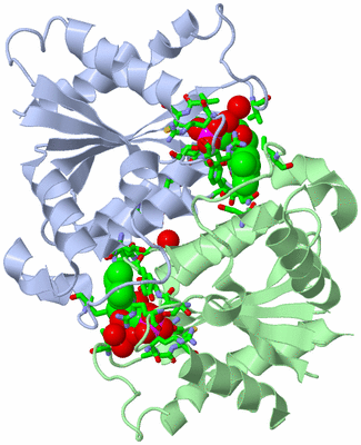 Image Asym. Unit - sites