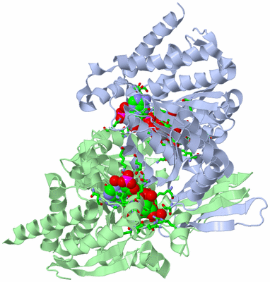 Image Biol. Unit 1 - sites