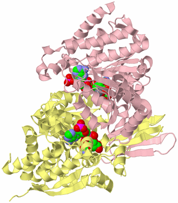 Image Biological Unit 2