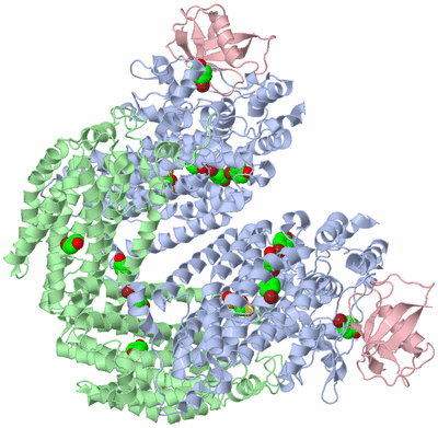 Image Biological Unit 1