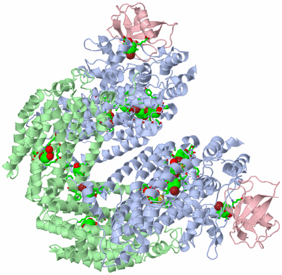 Image Biol. Unit 1 - sites