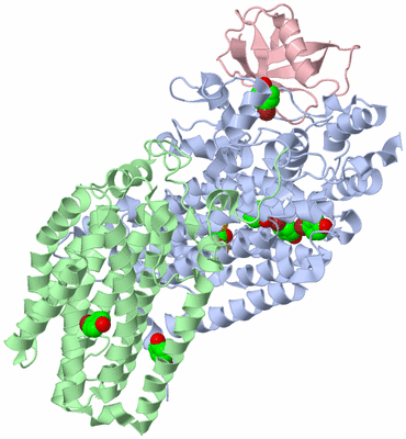 Image Biological Unit 2