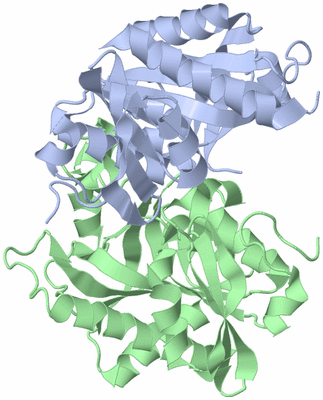 Image Asymmetric Unit