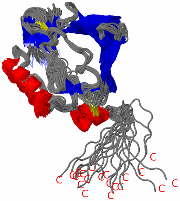 Image NMR Structure - all models