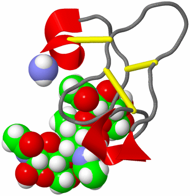 Image NMR Structure - model 1