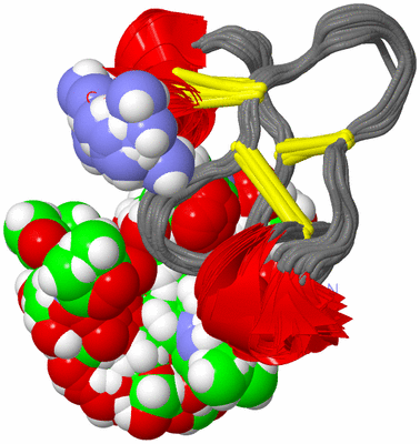 Image NMR Structure - all models