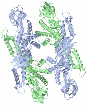 Image Biological Unit 2