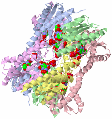 Image Biological Unit 1