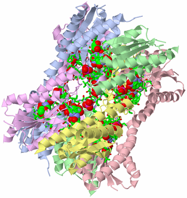 Image Biol. Unit 1 - sites